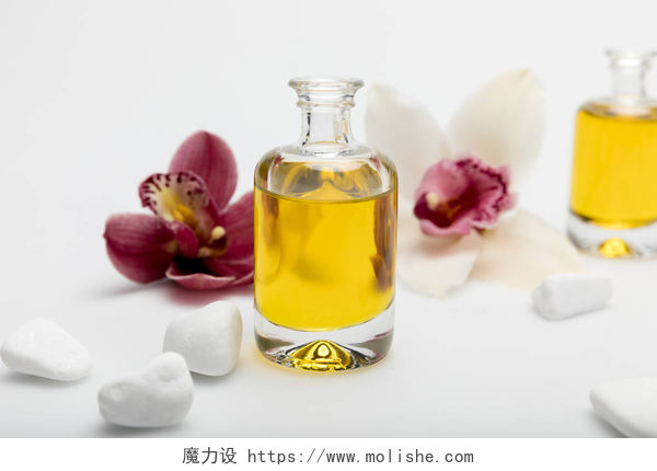 白色背景上的香精油和玉兰花精油与兰花